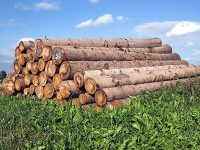 El cliente indio encargó una línea de producción de carbón vegetal por lotes